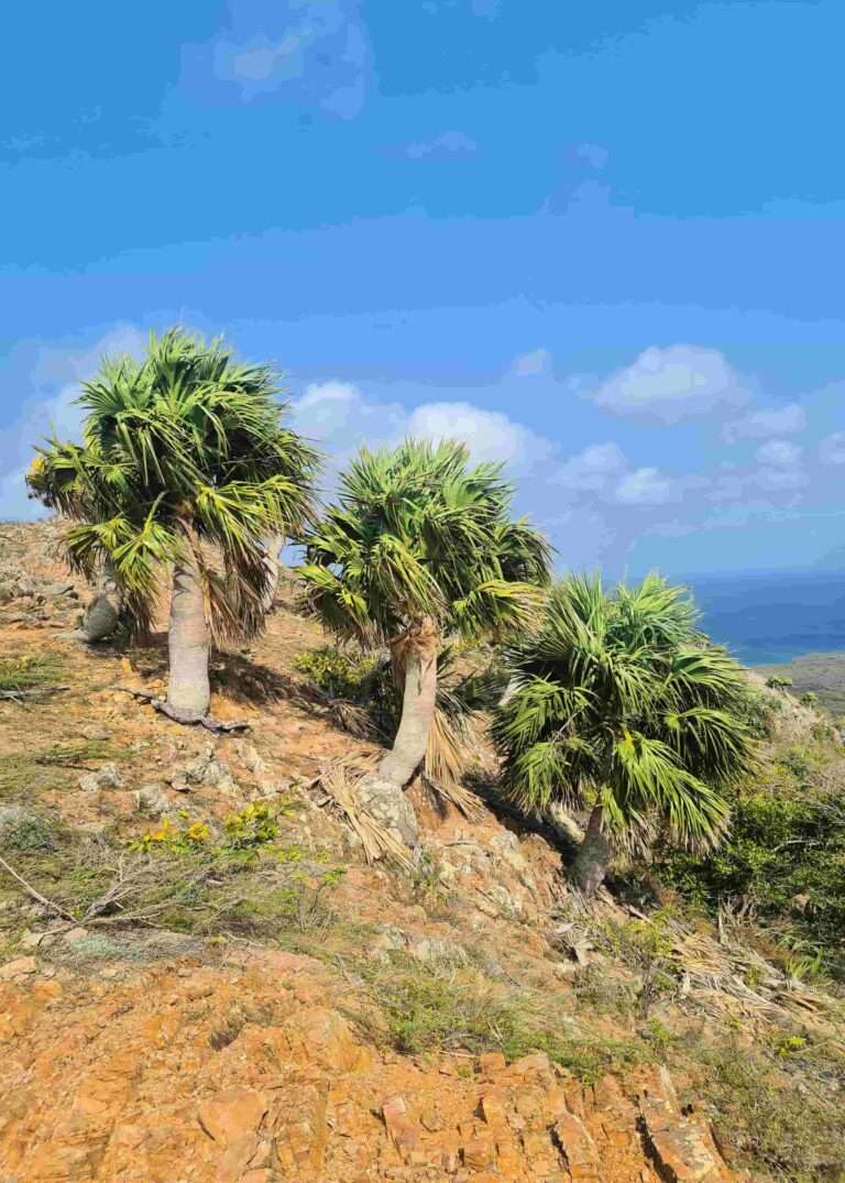 wat te doen op curacao hiken