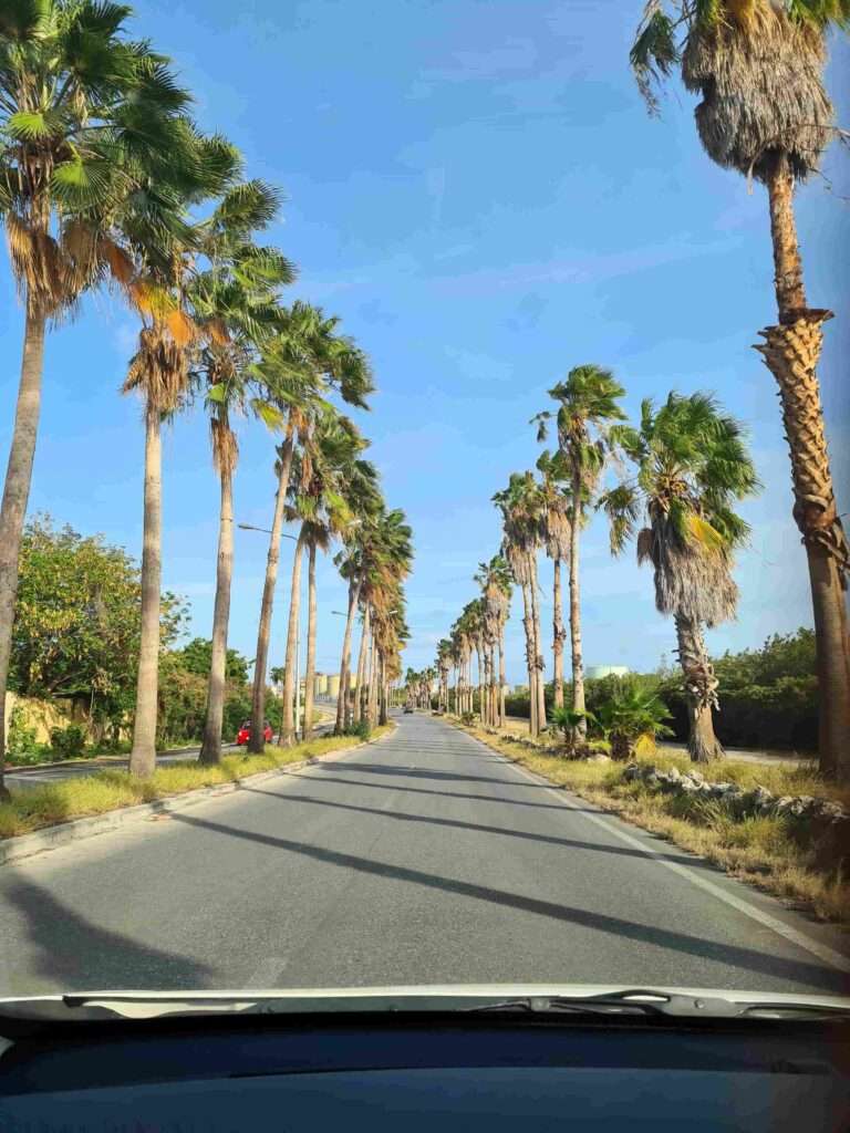 huurauto curacao wegen verkeersregels